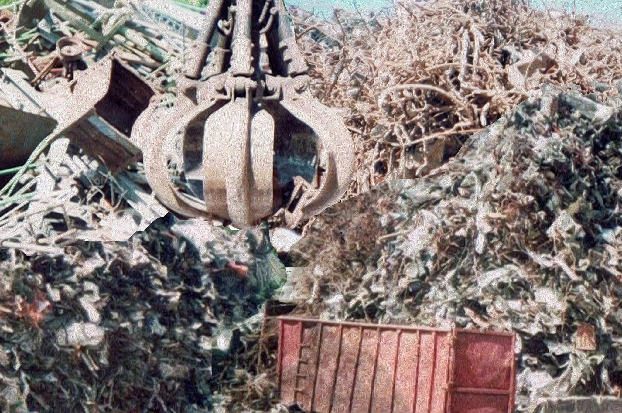 14970892_760701557404117_1205584047_o