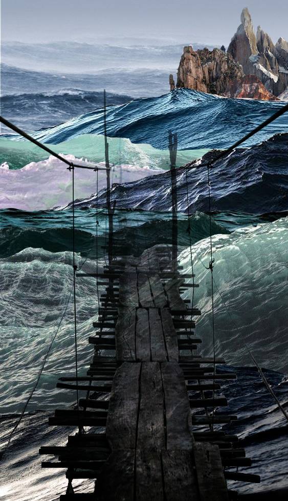 16522143_1642947292398431_1126580750_o