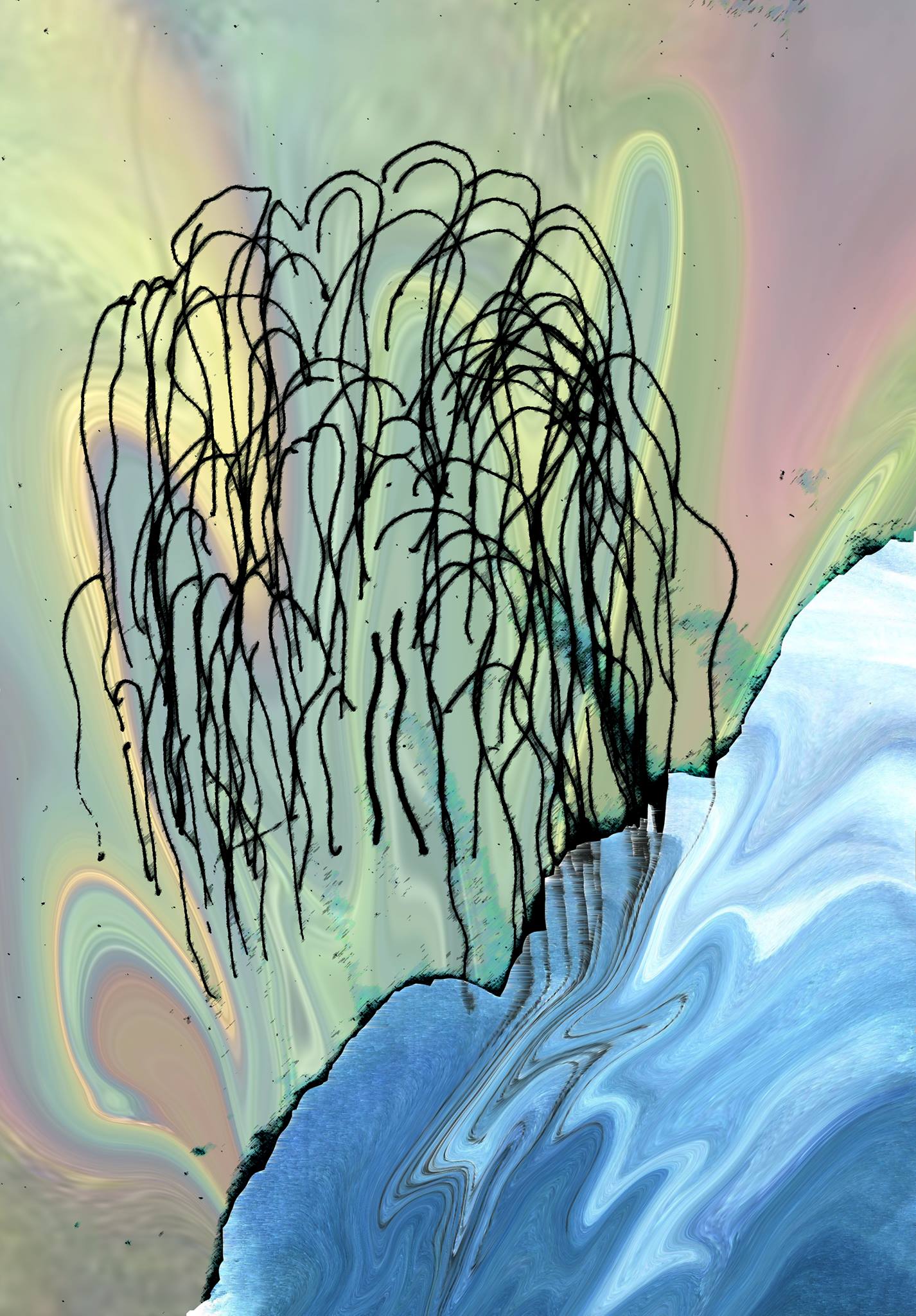 17886839_849283995212539_60249217_o