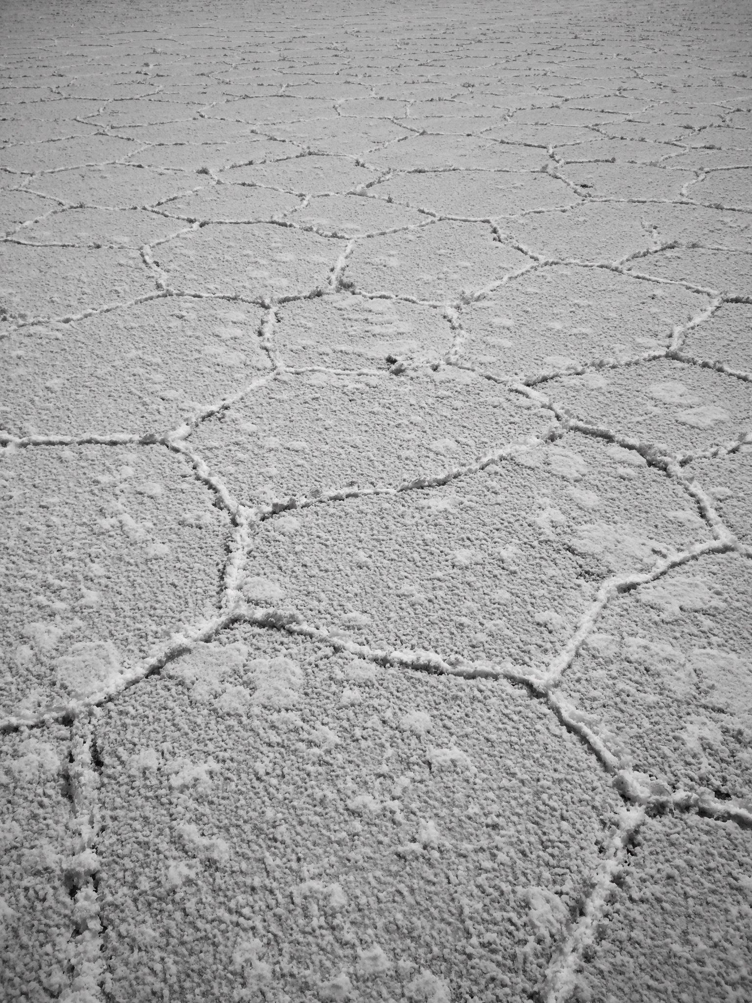 28810316_1694128500610188_207973478_o