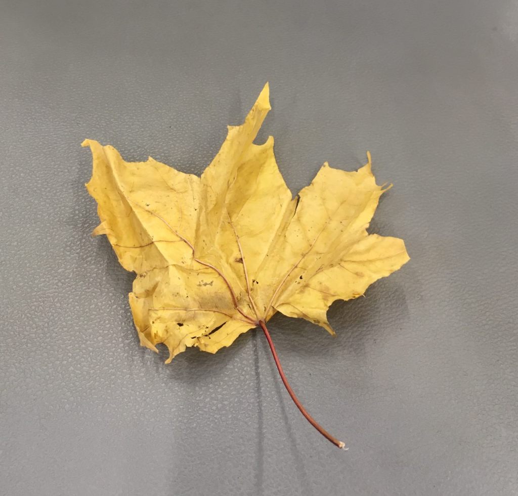 Vom wütenden Sturm Russlands