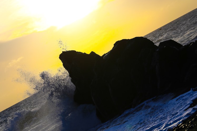 64831809_415589255833449_7027969747970949120_n